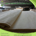 First Grade Bleached Poplar Veneer with Competitive Price